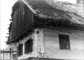 eika image